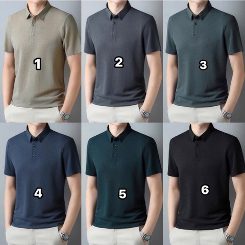 Áo polo nam-R30.0106.25