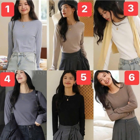 Áo thun-R18.2412.24