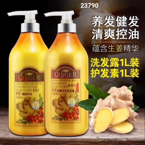 Dầu gội xả gừng-R12.0309
