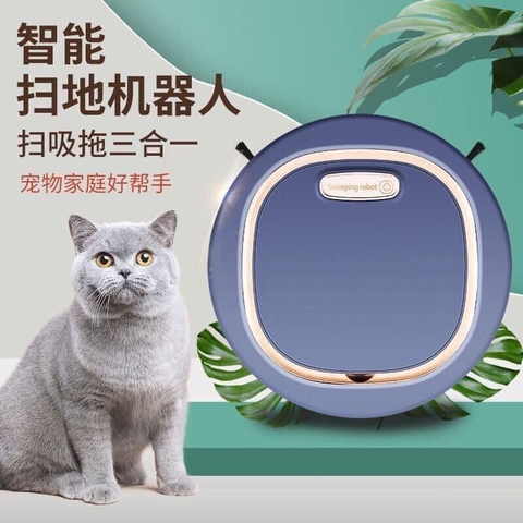 Robot lau nhà-R21.1007