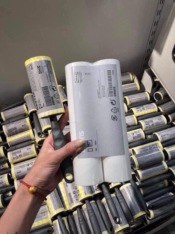 Cây lăn bụi-SlbiR3108