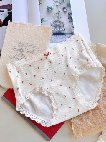 Sét chip nơ-R31.2407.25