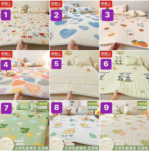 Chiếu Nanảnen-R17.2403.25