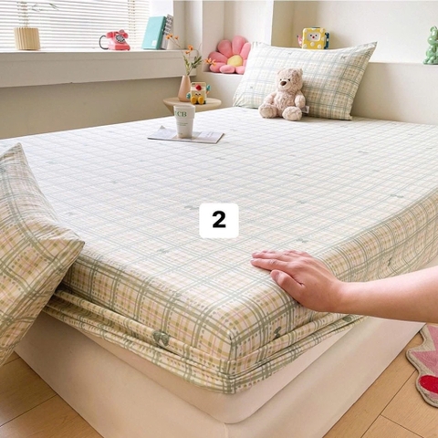 Sét ga gối-R5.1706.25