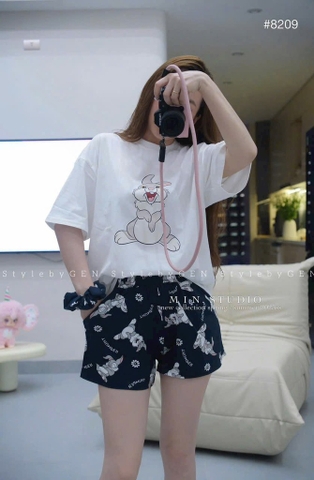 Bộ thỏ-R18.1.1802.25