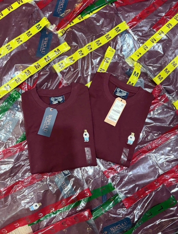 Phong gấu-R16.1.1701.26