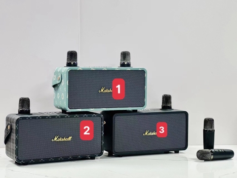 Bộ loa mic-RLmsx0501