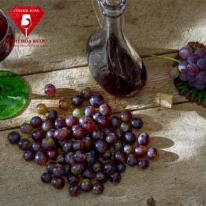 Tại sao nho lại là nguyên liệu tốt nhất để làm rượu vang.