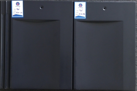 Ngói Piata Viglacera PT01-12 màu xanh