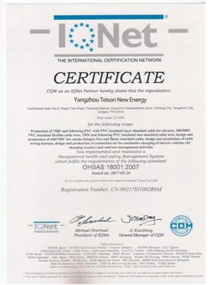 OHSAS 18001 2007