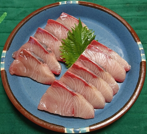 Cá cam Nhật Bản (Hamachi, Buri)