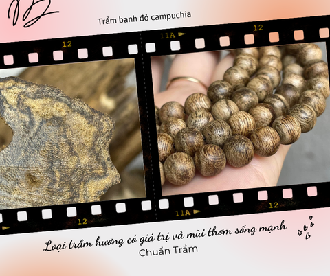 Tuyệt phẩm Trầm Banh Đỏ Campuchia - Hương thơm đẳng cấp, trải nghiệm khác biệt!