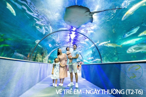 [E-Voucher] Vé Vào Cửa Thủy Cung Times City - Vé Trẻ Em/ Ngày Thường: Thứ 2-Thứ 6