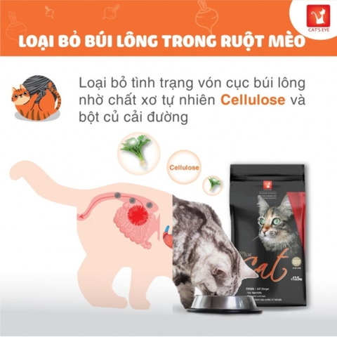 Thức Ăn Hạt Cho Mèo Cat'S Eye Kitten&Cat - Bao 13,5Kg