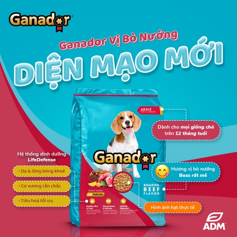 Thức Ăn Hạt Cho Chó Ganador Nhiều Vị Gói 400g