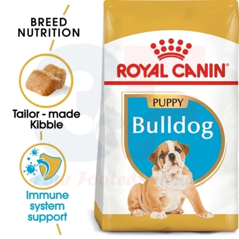 Hạt Khô Dành Cho Chó Bulldog Từ 2-12 Tháng Tuổi: Royal Canin Bulldog Puppy