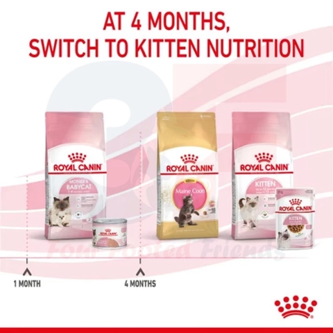 Pate Danh Cho Mèo Mẹ Và Mèo Con Royal Canin Mother & Babycat - 195Gr