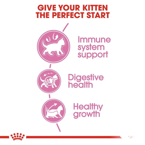 Hạt Cho Mèo Con Từ 2-12 Tháng Tuổi Royal Canin Kitten 36