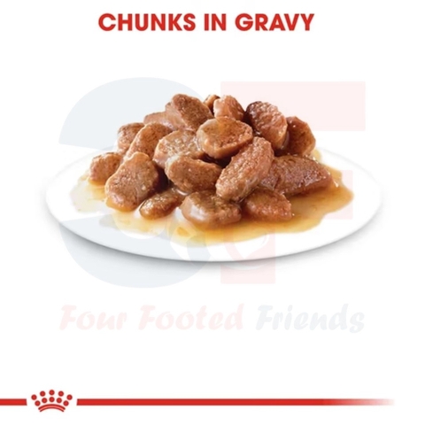 Pate Cho Mèo Hỗ Trợ Ngăn Ngừa Búi Lông: Royal Canin Hairball Care Gravy Gói 85G