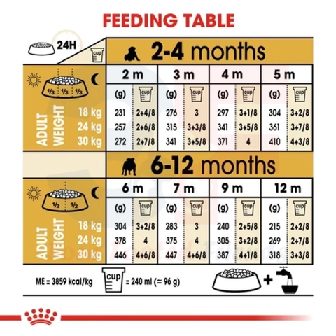 Hạt Khô Dành Cho Chó Bulldog Từ 2-12 Tháng Tuổi: Royal Canin Bulldog Puppy