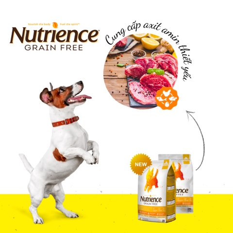 Thức Ăn Hạt Hỗ Trợ Xương Khớp Cho Chó Nutrience Grain Free Vị Gà Tây, Gà Canada Và Cá Trích