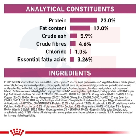 Hạt Cho Mèo Bị Suy Thận: Royal Canin Renal Feline