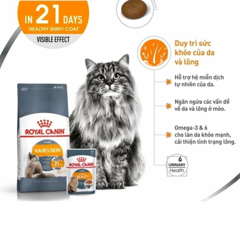 Hạt Hỗ Trợ Chăm Sóc Da Lông Cho Mèo: Royal Canin Hair & Skin Care