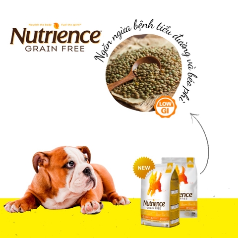 Thức Ăn Hạt Hỗ Trợ Xương Khớp Cho Chó Nutrience Grain Free Vị Gà Tây, Gà Canada Và Cá Trích