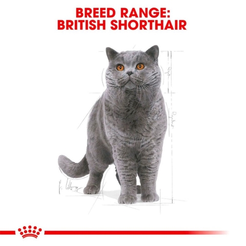 Hạt Cho Mèo Anh Lông Ngắn Trưởng Thành: Royal Canin British Shorthair Adult