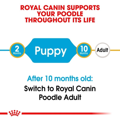 Hạt Dành Cho Chó Poolde Puppy: Royal Canin Poodle Junior