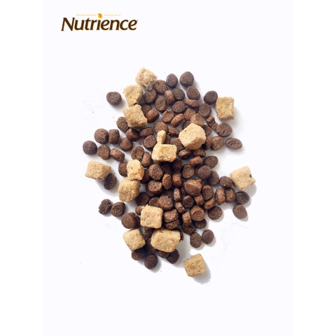 [5kg] Thức Ăn Hạt Cao Cấp Cho Mèo Nutrience Subzero Đến Từ Canada