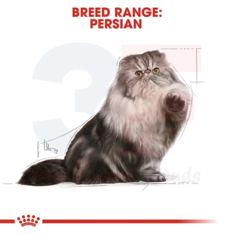 Thức Ăn Ướt Dành Cho Mèo Ba Tư Tưởng Thành: Royal Canin Persian Adult - Gói 85G