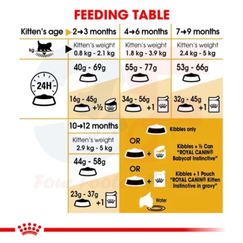 Hạt Cho Mèo Con Ba Tư - Royal Canin Persian Kitten