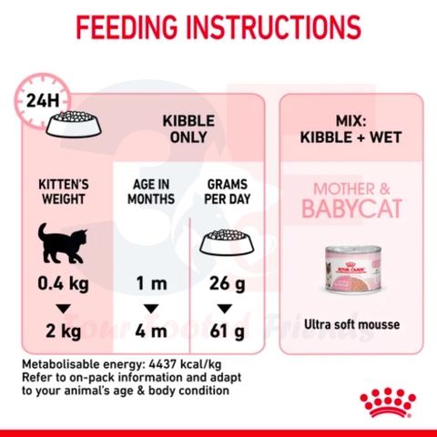 Thức Ăn Hạt Cho Mèo Đang Mang Thai Và Mèo Con Royal Canin Mother & Babycat