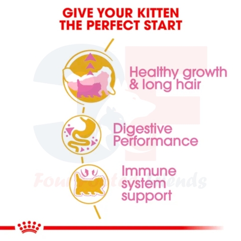 Hạt Cho Mèo Con Ba Tư - Royal Canin Persian Kitten