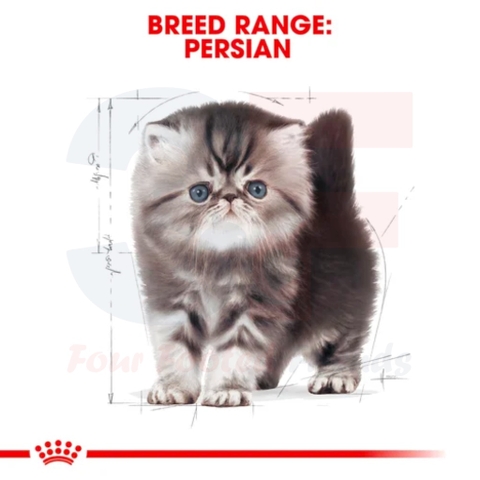 Hạt Cho Mèo Con Ba Tư - Royal Canin Persian Kitten