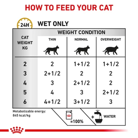 Pate Thức Ăn Ướt Cho Mèo Bị Sỏi Thận Royal Canin Urinary S/O Wet