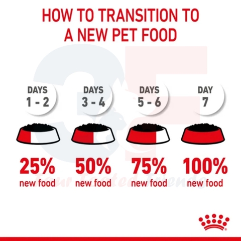 Pate Thức Ăn Ướt Dành Cho Chó Con Giống Nhỏ Royal Canin Mini Puppy Dạng Sốt - Gói 85gr