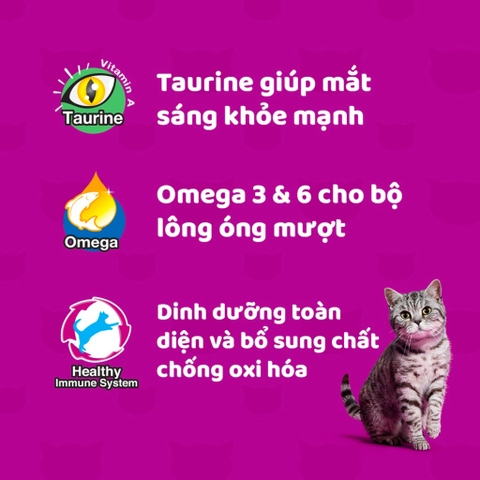 Thức Ăn Whiskas Cho Mèo Lớn Lon 400g