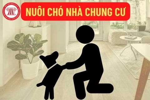 THÔNG BÁO: một số nội dung liên quan đến thực hiện các quy định khi nuôi chó, mèo tại chung cư Ecohome 3.