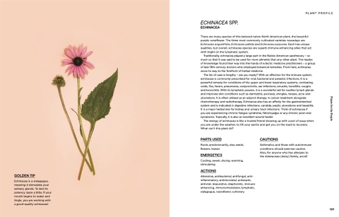 Plants for the people: a modern guide to plant medicine