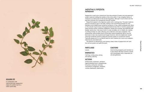 Plants for the people: a modern guide to plant medicine