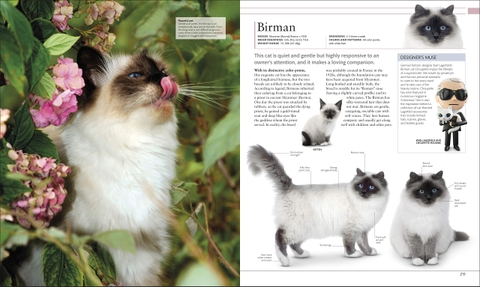 The Cat Encyclopedia: The Definitive Visual Guide