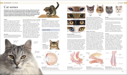 The Cat Encyclopedia: The Definitive Visual Guide