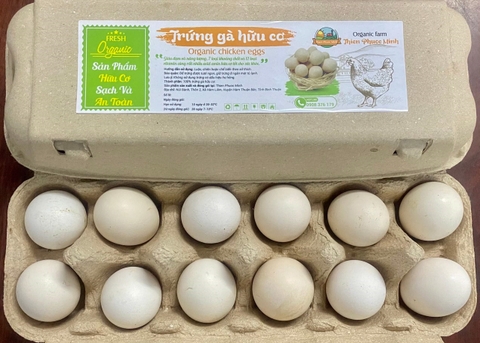 SET 4 : 10 VỈ 120 TRỨNG+ TẶNG 1 VỈ 12 TRỨNG