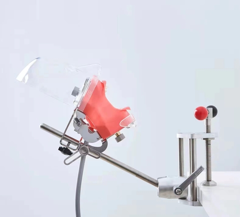 Mô hình thực hành nha khoa Mô hình thực hành nha khoa