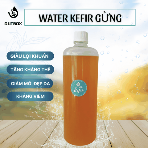 Water Kefir Gừng