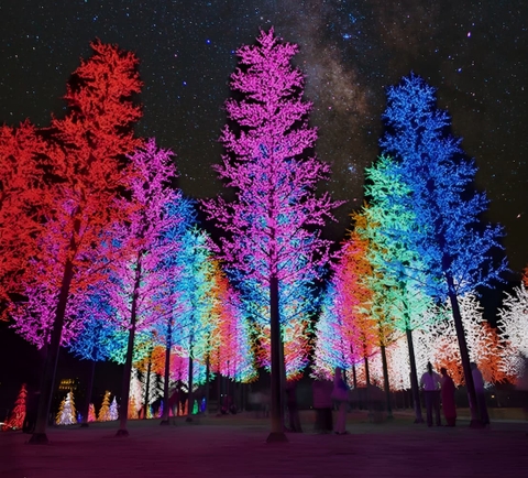 Cột Đèn Trang Trí Cây Thông Cao 9M LED F5 450-500W Cảnh Quan Nhà Thờ Chính