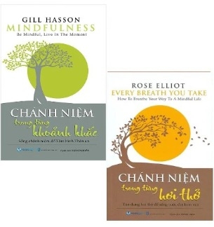 Combo (2 Cuốn Sách) Chánh Niệm Trong Từng Khoảnh Khắc - Chánh Niệm Trong Từng Hơi Thở - Gill Hasson, Rose Elliot