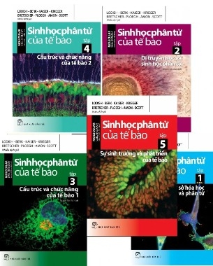 Combo (5 Cuốn Sách) Sinh Học Phân Tử Của Tế Bào (Trọn bộ 5 Tập)  của nhiều tác giả